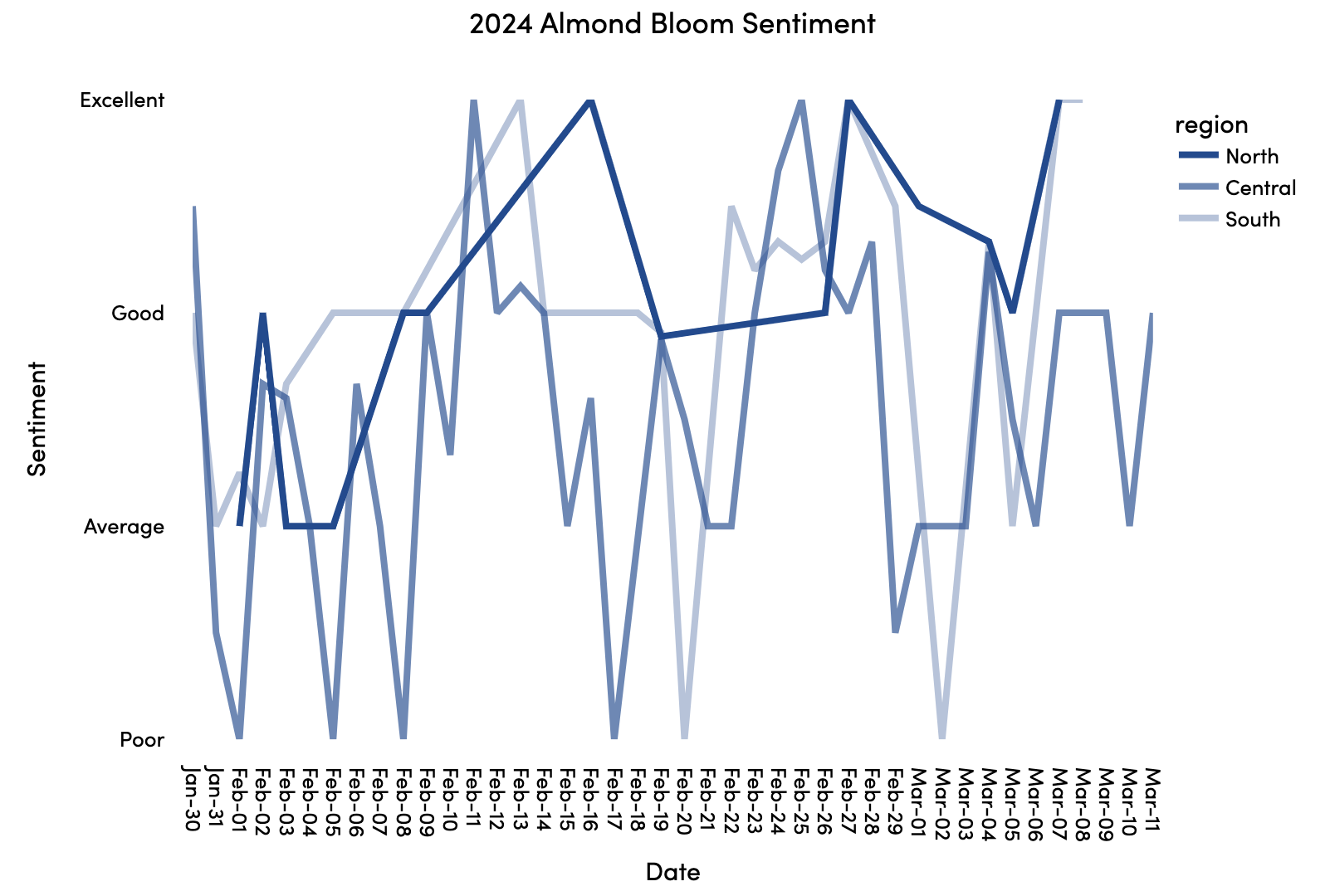 Bountiful Bloom Sentiment by day, 3/11/24